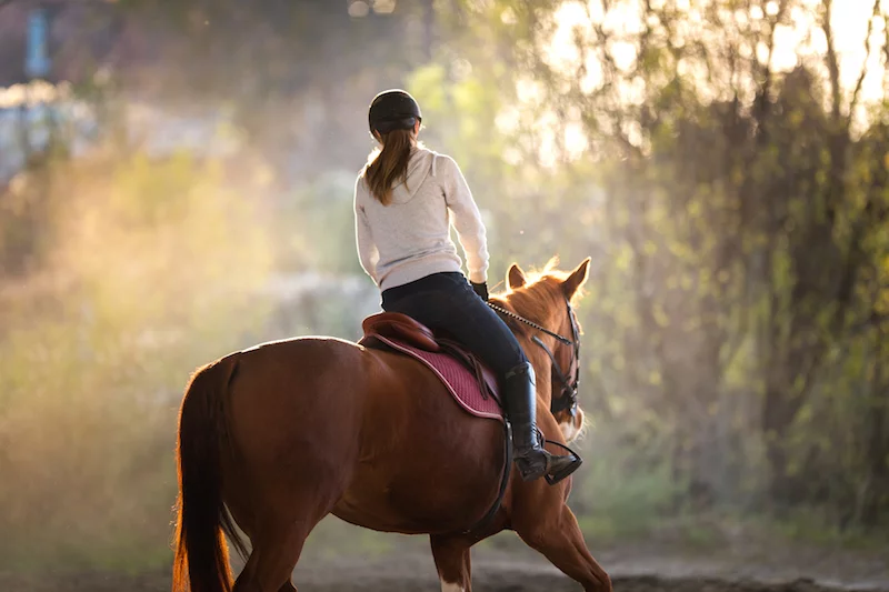 Fit in den Frühling mit Reiten