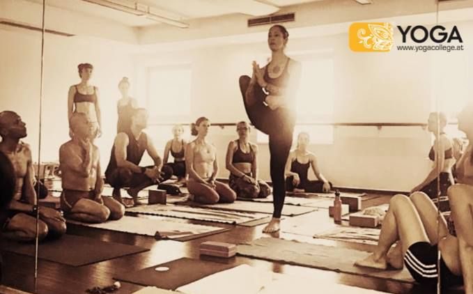 yoga workshops yoga college vienna